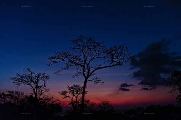 sumba photo photographie ciel crépuscule arbre flore asie paysage